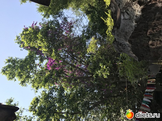 565 ����: ������ 2017. ��������