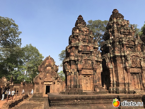 655 ����: ������ 2017. ��������