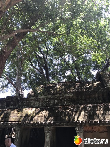 285 ����: ������ 2017. ��������