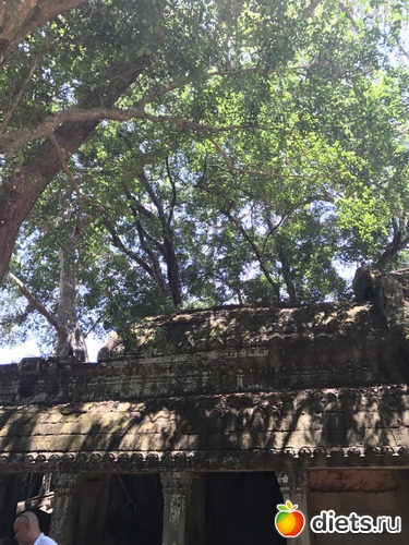 286 ����: ������ 2017. ��������