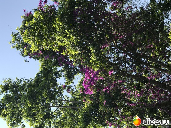 566 ����: ������ 2017. ��������