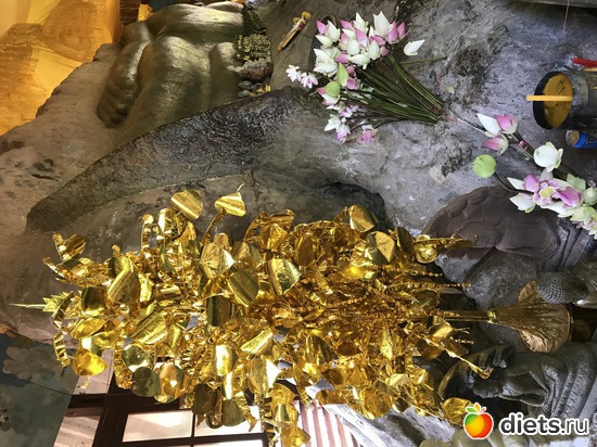 567 ����: ������ 2017. ��������