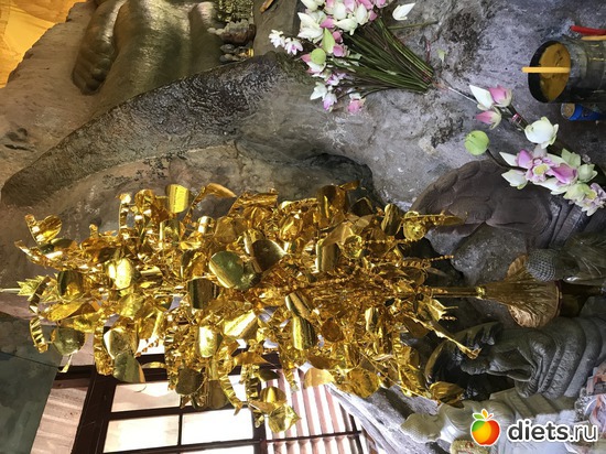 568 ����: ������ 2017. ��������