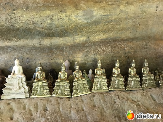 569 ����: ������ 2017. ��������