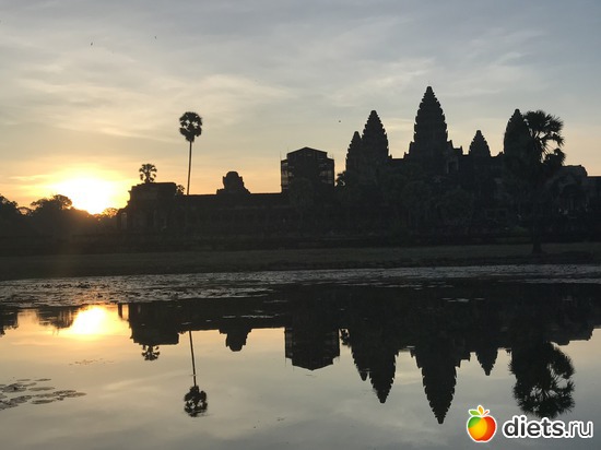 98 ����: ������ 2017. ��������