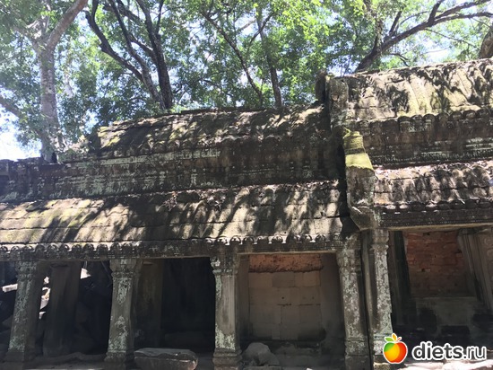 288 ����: ������ 2017. ��������