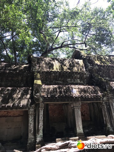 289 ����: ������ 2017. ��������