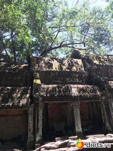 290 ����: ������ 2017. ��������