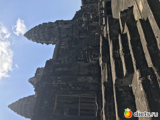 440 ����: ������ 2017. ��������