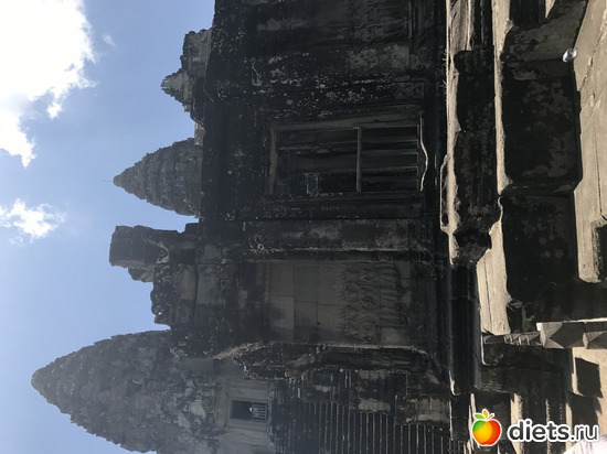 441 ����: ������ 2017. ��������