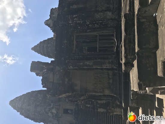 442 ����: ������ 2017. ��������