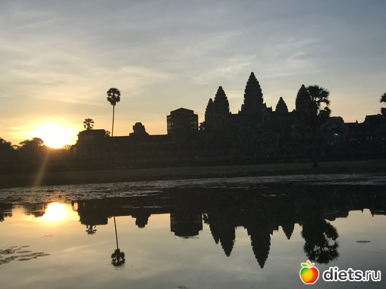 102 ����: ������ 2017. ��������