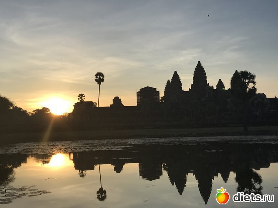 103 ����: ������ 2017. ��������