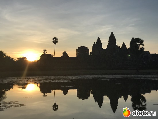 104 ����: ������ 2017. ��������