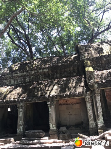 291 ����: ������ 2017. ��������