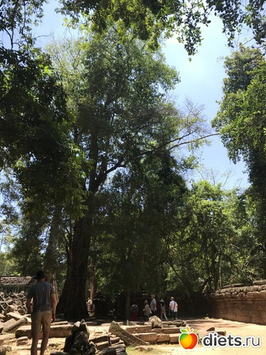 292 ����: ������ 2017. ��������