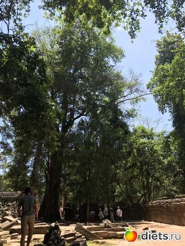 293 ����: ������ 2017. ��������