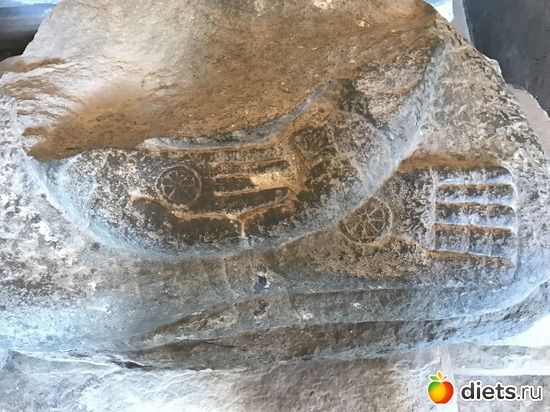 448 ����: ������ 2017. ��������