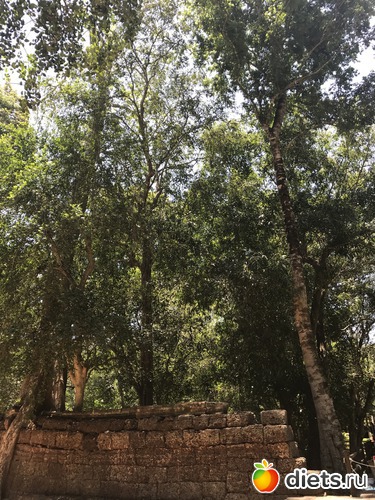 294 ����: ������ 2017. ��������