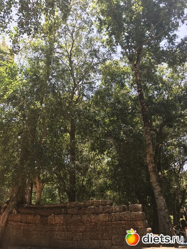 295 ����: ������ 2017. ��������