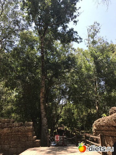 296 ����: ������ 2017. ��������