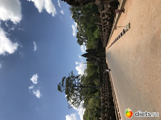 452 ����: ������ 2017. ��������