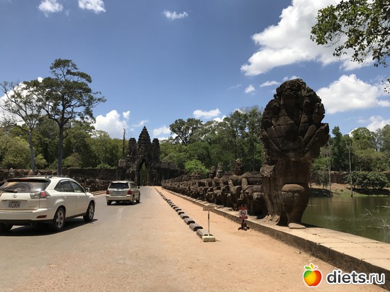 453 ����: ������ 2017. ��������