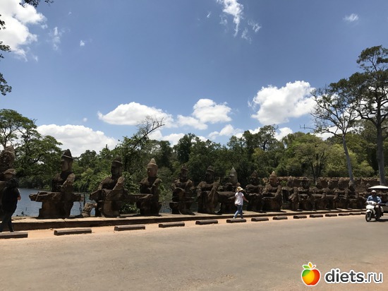 454 ����: ������ 2017. ��������