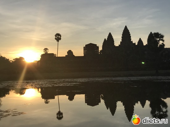 113 ����: ������ 2017. ��������