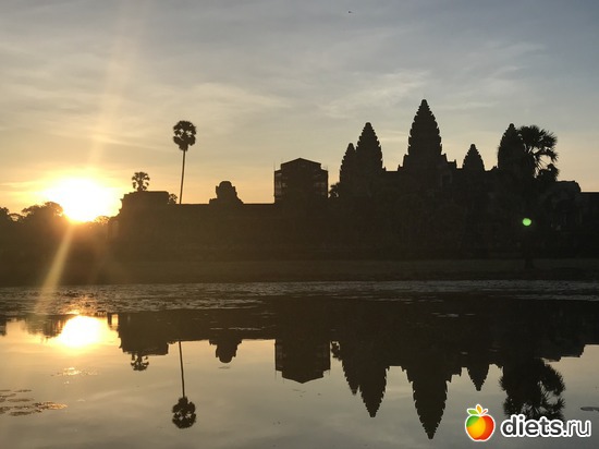 115 ����: ������ 2017. ��������