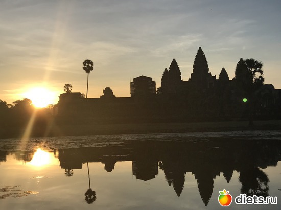 116 ����: ������ 2017. ��������