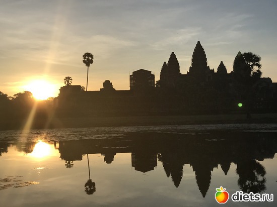 117 ����: ������ 2017. ��������