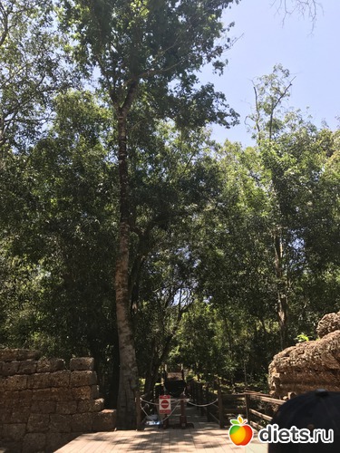 297 ����: ������ 2017. ��������