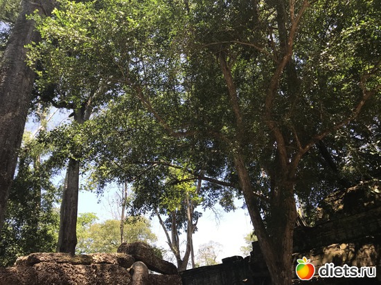 298 ����: ������ 2017. ��������