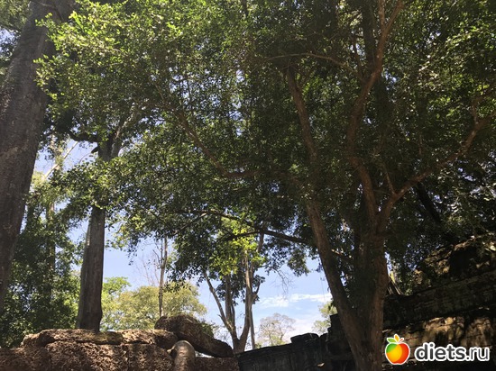 299 ����: ������ 2017. ��������