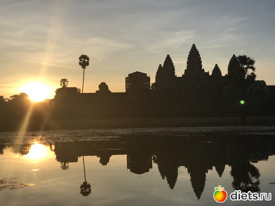 118 ����: ������ 2017. ��������