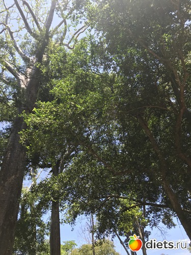 301 ����: ������ 2017. ��������