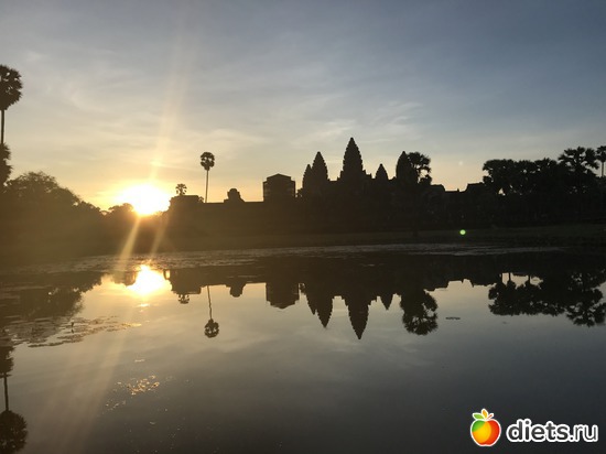 124 ����: ������ 2017. ��������