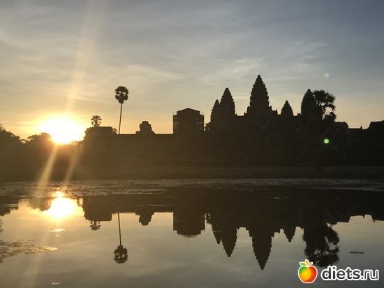 126 ����: ������ 2017. ��������