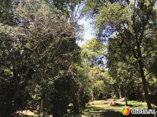 302 ����: ������ 2017. ��������