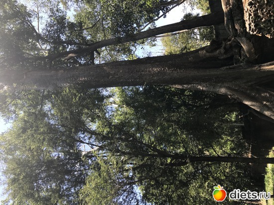 303 ����: ������ 2017. ��������