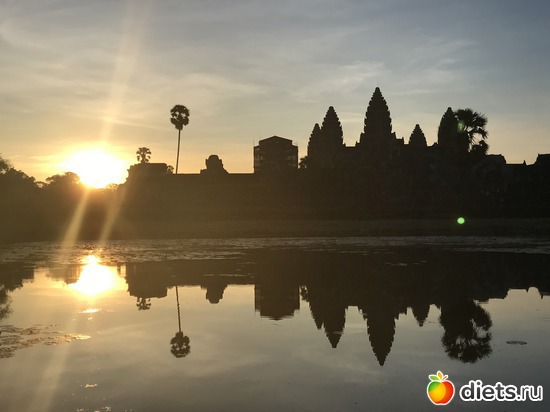 128 ����: ������ 2017. ��������