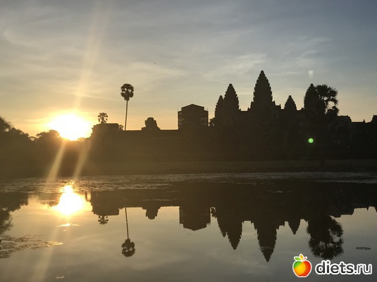 132 ����: ������ 2017. ��������