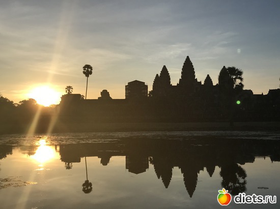 133 ����: ������ 2017. ��������