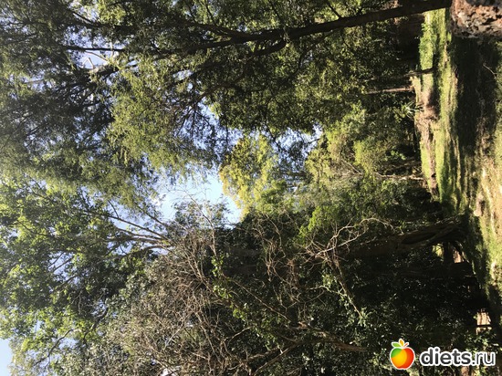 305 ����: ������ 2017. ��������