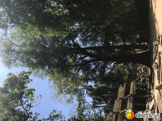 306 ����: ������ 2017. ��������