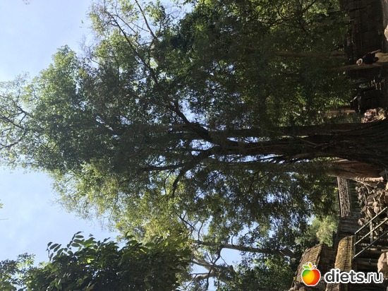 307 ����: ������ 2017. ��������