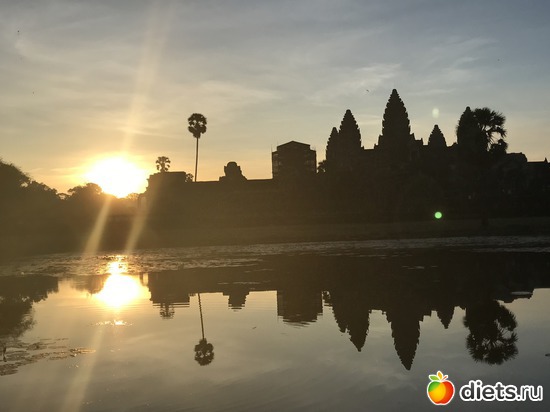 135 ����: ������ 2017. ��������