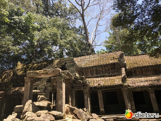 308 ����: ������ 2017. ��������