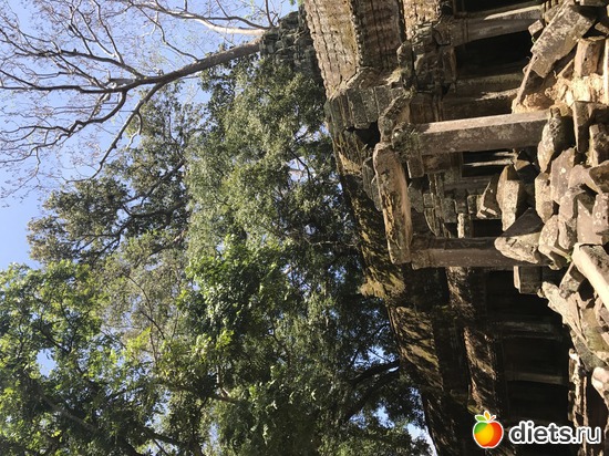 309 ����: ������ 2017. ��������